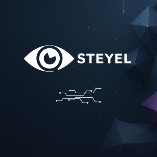 Case Study For STEYEL.COM